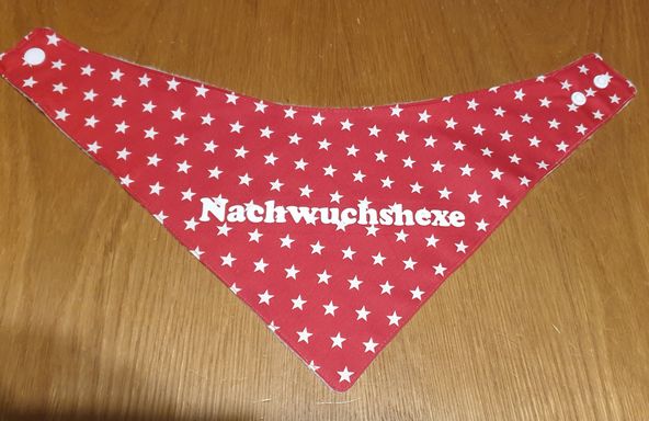 Halstuch für Fasnachtsverein!